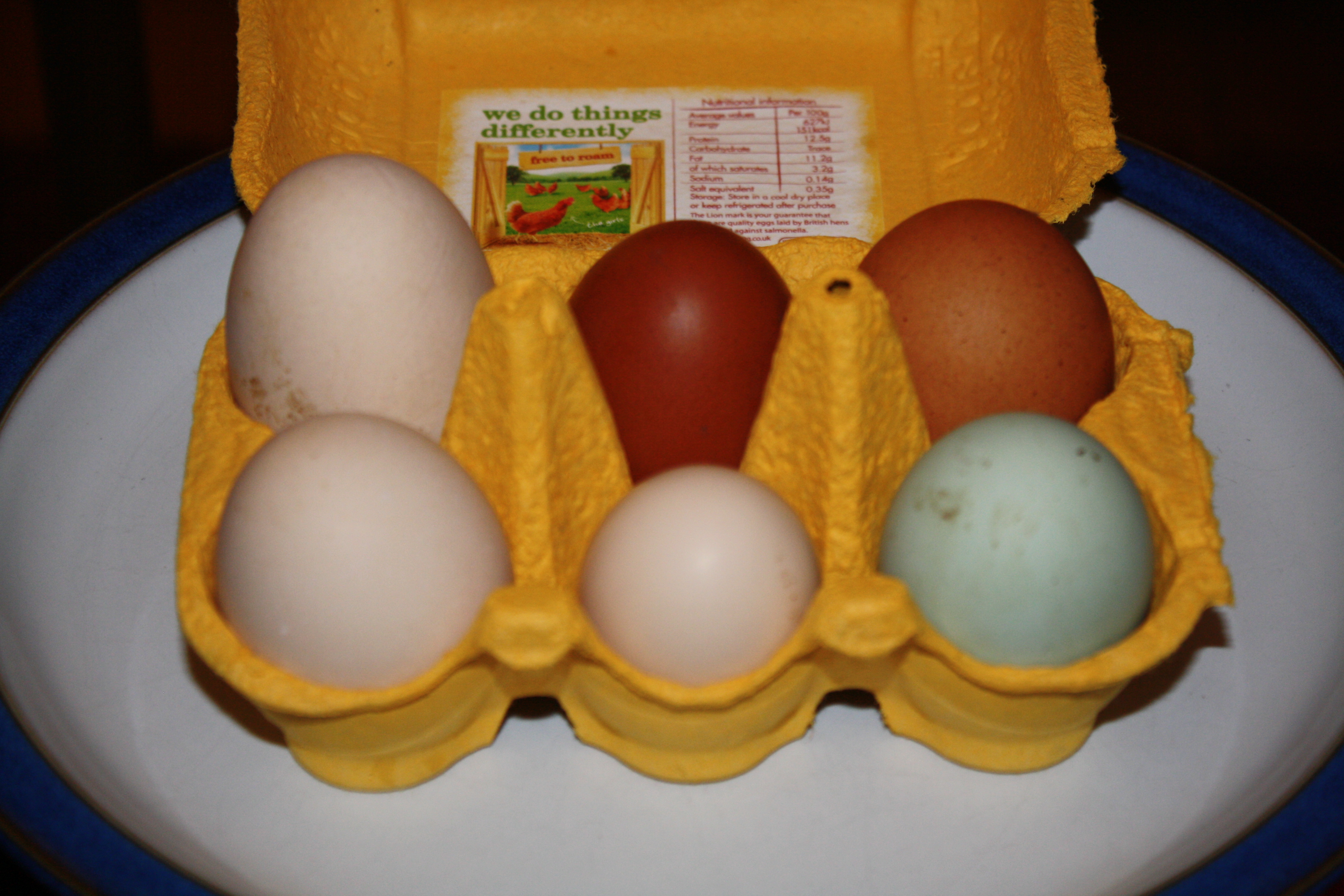 Compare Your Eggs to Commercial Eggs Eggs Chickens Guide Omlet US