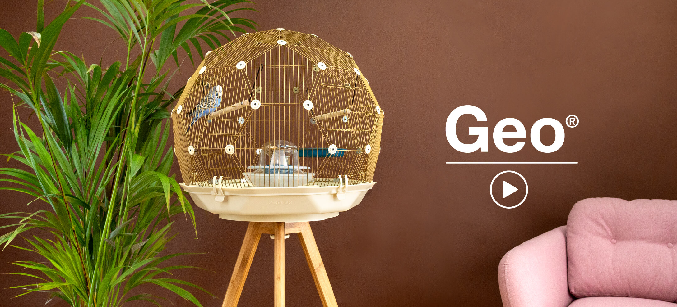 bird cage design