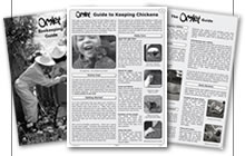 Image of Omlet Guides