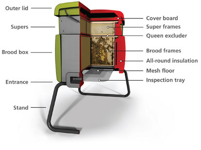 Image of a cut-away Beehaus
