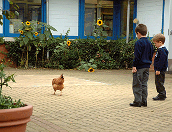 Image of schoolchildren looking at a chicken