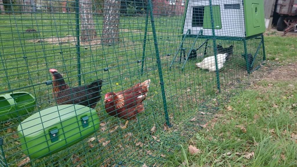 Eglu Cube Large Chicken Coop 3ft Run Extension