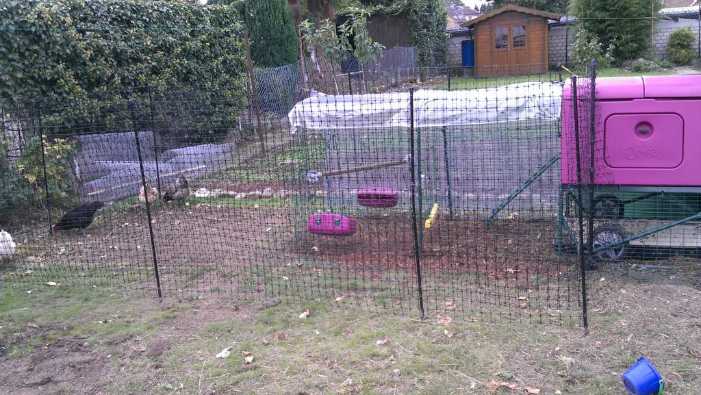 Eglu Cube Mk2 - 6ft Run | Eglu Chicken Runs | Chicken Coops, Walk In ...