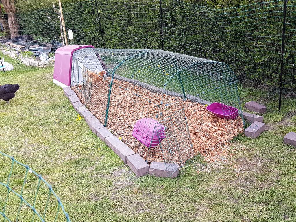 3ft Run Extension for Eglu Go | Eglu Chicken Runs ...