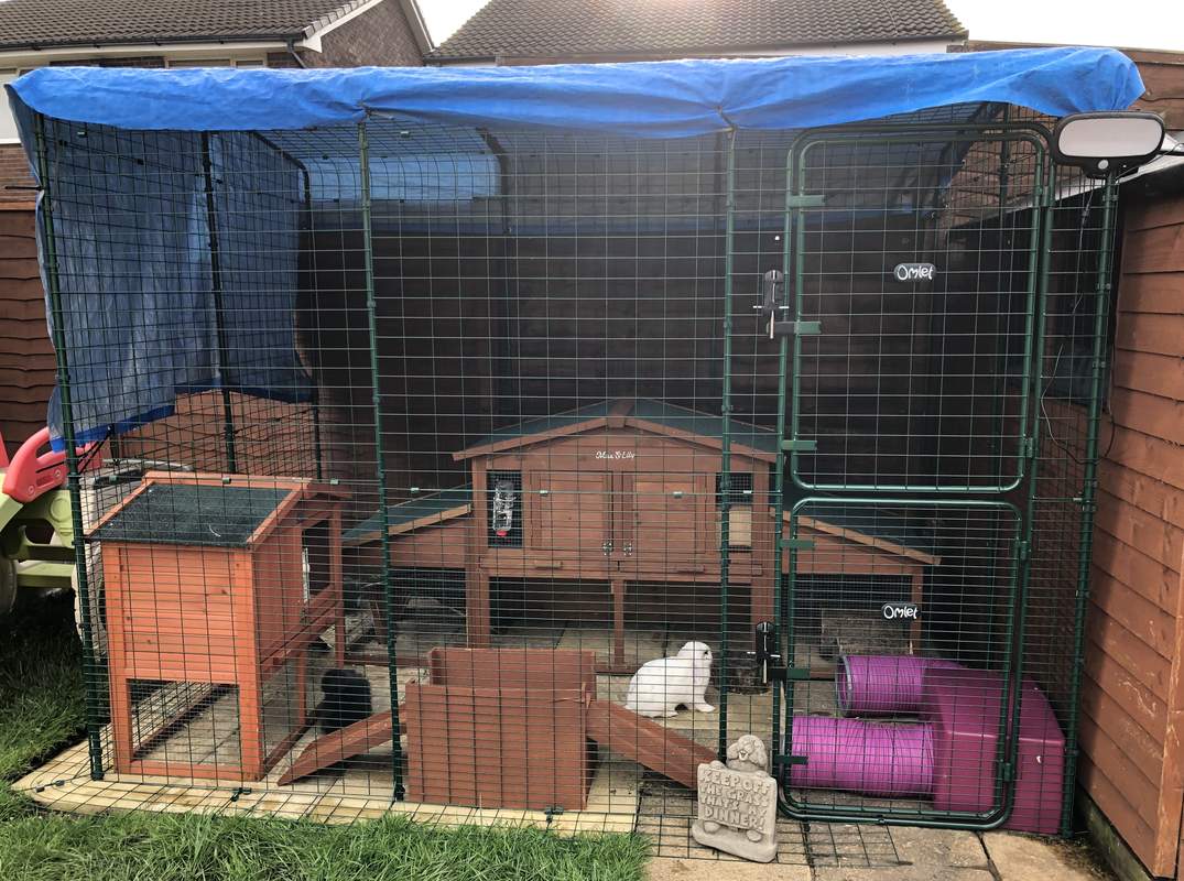 massive rabbit cage