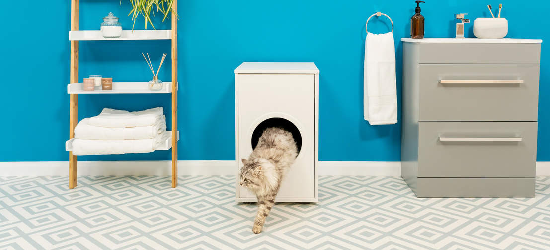 Top Entry Cat Litter Box with Lid, Foldable Cats Litter Box Include Litter Scoop, Enclosed Kitty Litter Box with Drawer Tray Easy Clean, Grey