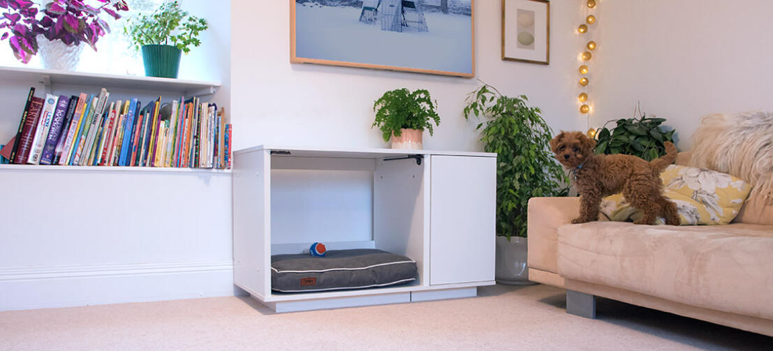 https://www.omlet.us/images/cache/1107/503/Fido-Nook-dog-crate-complements-modern-and-traditional-interiors_14693979.jpg