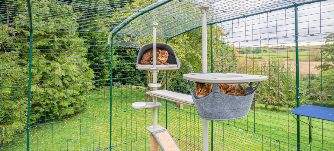 Pre-Fabricated, Outdoor Cat Shelters: Tree House Has Them!