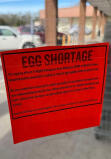 Us egg shortage