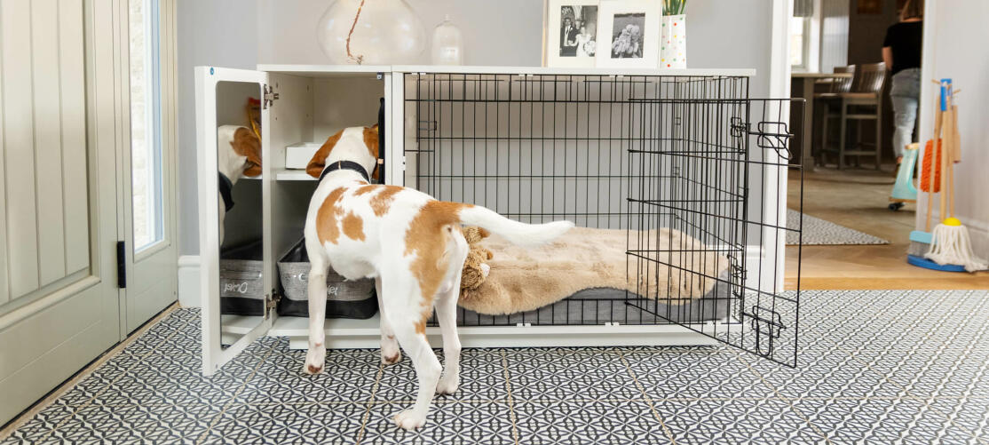 https://www.omlet.us/images/cache/1114/501/dog-crate-furniture-with-wardrobe-to-storage-dog-toys-and-treats.jpg