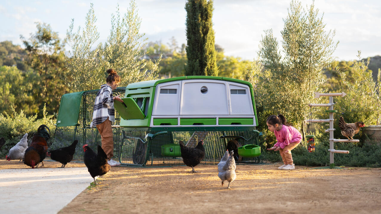 mother and daughter collecting eggs and playing with chickens by the eglu pro chicken coop