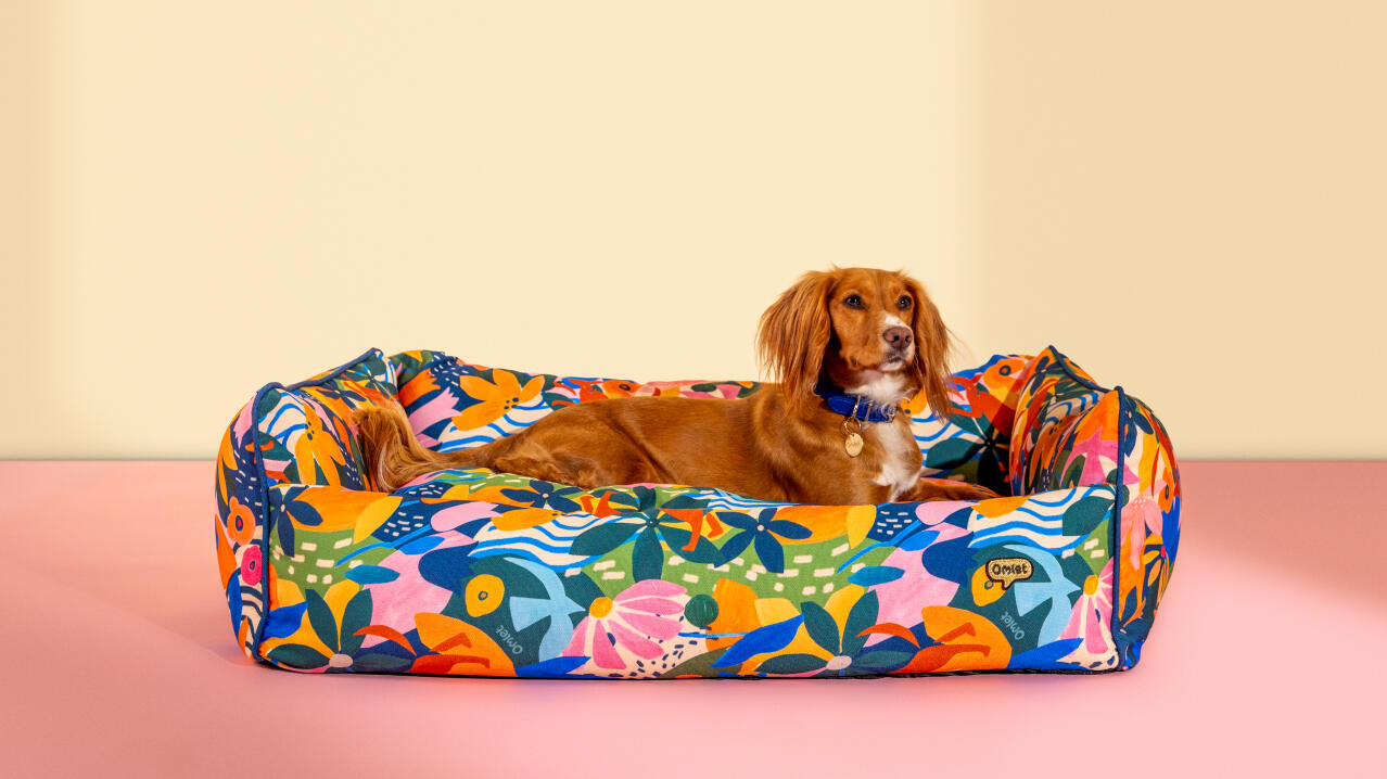 Dog resting in a colourful patterend bolster dog bed from Omlet