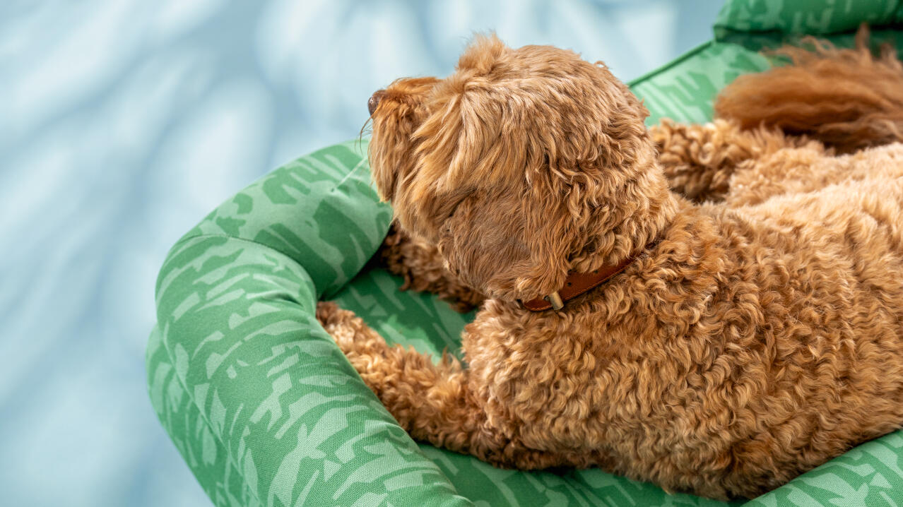 Close up of nest dog bed in grassland gallop pattern