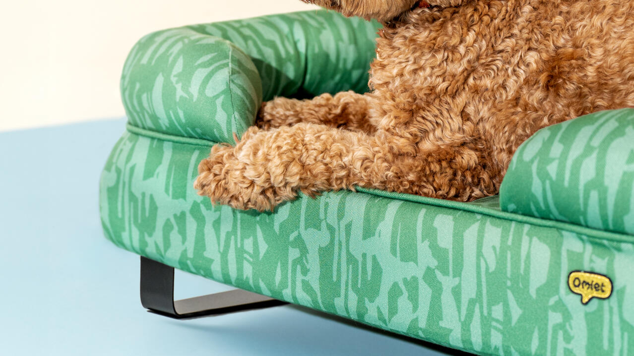 Supportive bolster dog bed in vibrant designer pattern