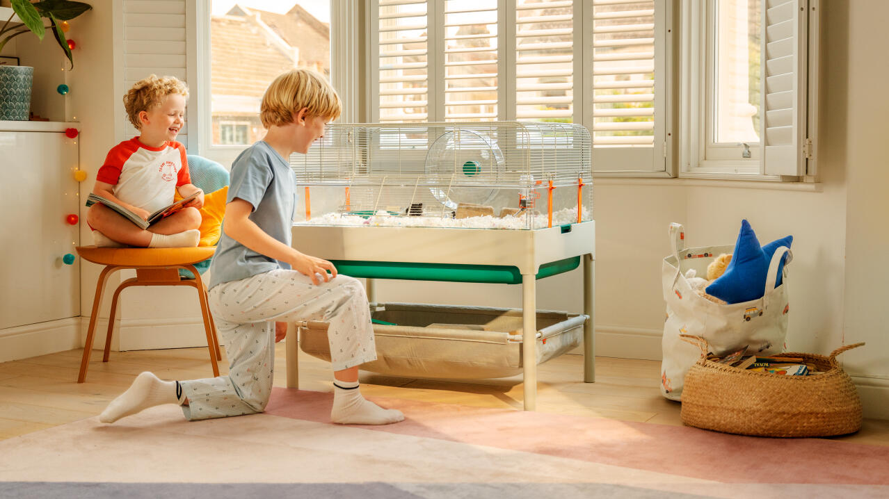 Two young boys watching their hamster in the spacious Omlet hamster cage