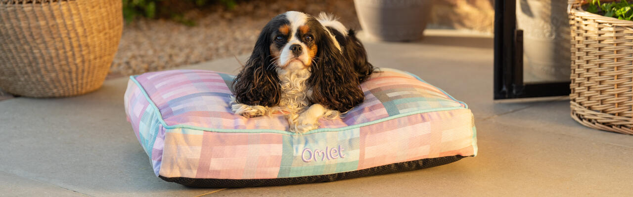 Omlet Memory Foam Cooling Mat for Dogs