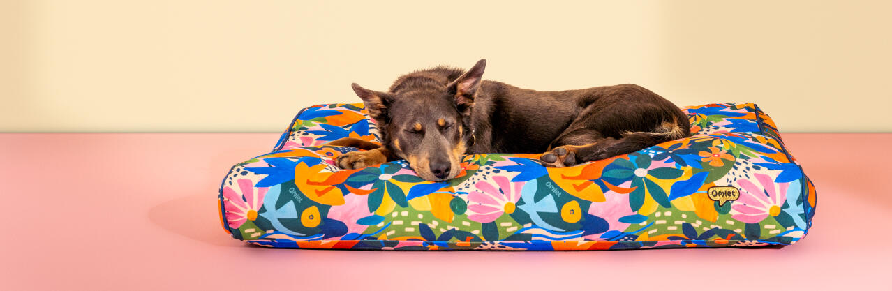 Dog resting in a large cushion dog bed