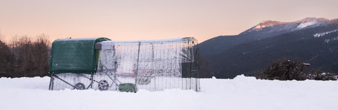 Winter chicken keeping