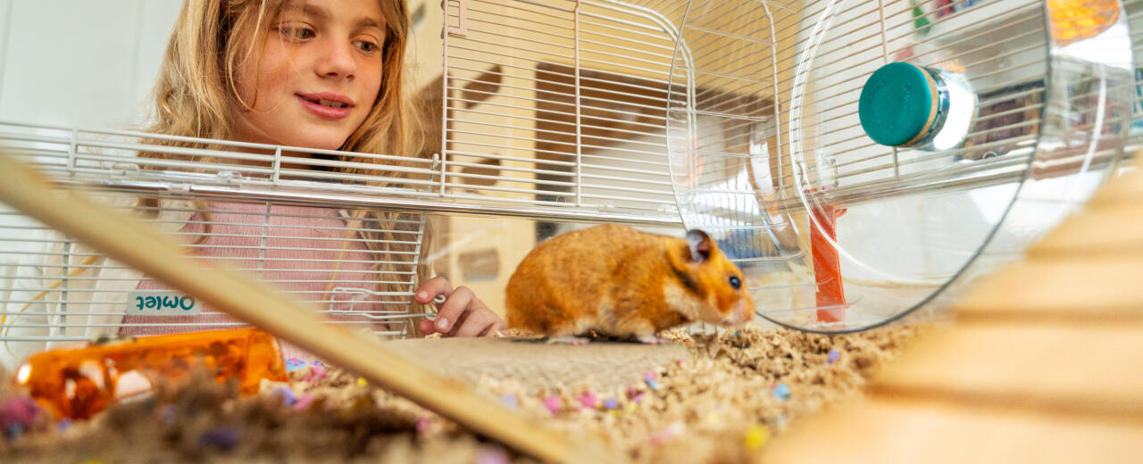 Girl playing with hamster in the Omlet hamster cage