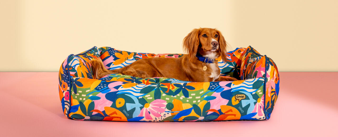 Dog resting in a machine washable dog bed designed by Omlet