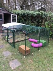 Outdoor Rabbit Run | Large Outdoor Rabbit Enclosure | Omlet