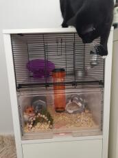 cat safe hamster cage