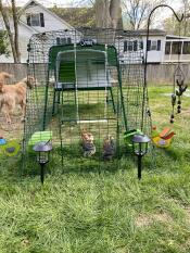 Teenagers in their new home