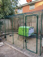 An Eglu Cube chicken coop inside a chicken run