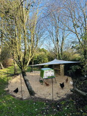 Girls all ready in their winter garden thanks to Omlet! 🐓 