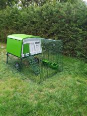 A newly assembled Eglu Cube chicken coop.