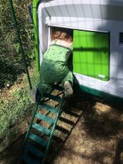 Child climbing inside of green Eglu Cube large chicken coop and run