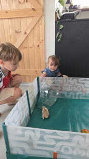 Children playing with their hamster in the Omlet hamster playpen.