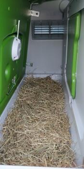 Inside Omlet green Eglu Cube large chicken coop