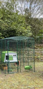 Green Eglu Cube large chicken coop inside of Omlet walk in chicken run