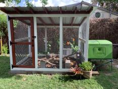 Cube attached to chicken run 