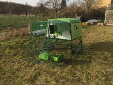 Green Eglu Cube large chicken coop and run in garden