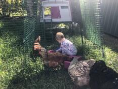 A little girl into an chicken run.