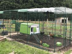 Our 8 chickens have plenty of space inside the Eglu Cube . easy to clean. safe and secure