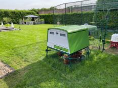 Green Eglu Cube large chicken coop and run in garden