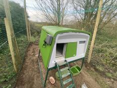 Green Eglu Cube large chicken coop