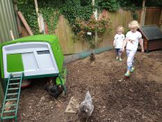 Girls and chickens with their Omlet green Eglu Cube large chicken coop