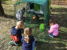 Kids watching their chickens in a green Omlet Eglu Cube large chicken coop and run