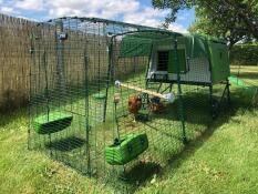 Green Eglu Cube large chicken coop with run, two chickens and Omlet chicken perch in the garden