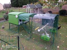 Green Omlet Eglu Cube large chicken coop and run with weather and clear cover