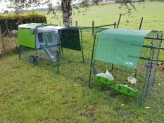 Cube large chicken coop with a run in a garden