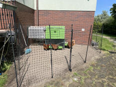 Fence for hens Omlet