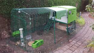 An Eglu Cube chicken coop with 3m run and cover on the top.  thank you.