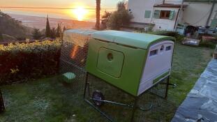 Green Eglu large chicken coop and run in garden