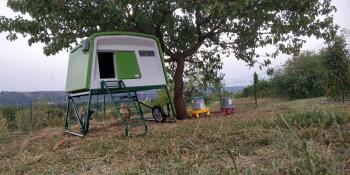 Omlet green Eglu Cube large chicken coop