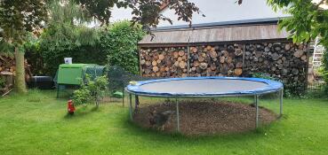 A chicken coop with some keeping underneath a trampolin.